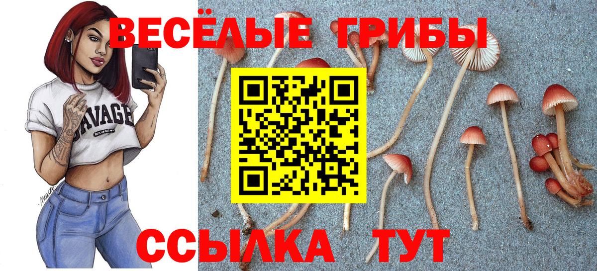 Псилоцибиновые грибы ЛСД Евпатория